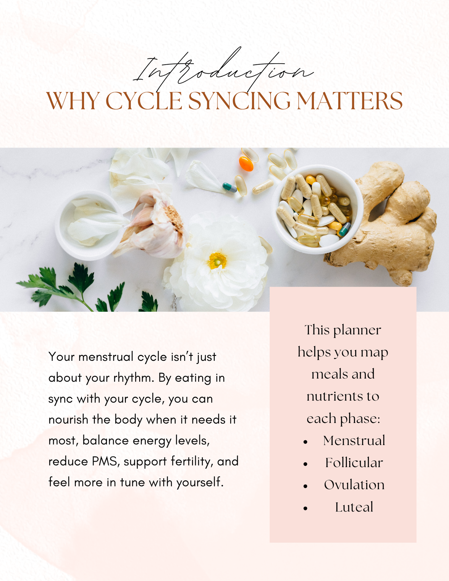 Cycle Sync Meal Planner: Nourish Your Hormones with Every Bite